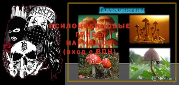 стаф Кинешма