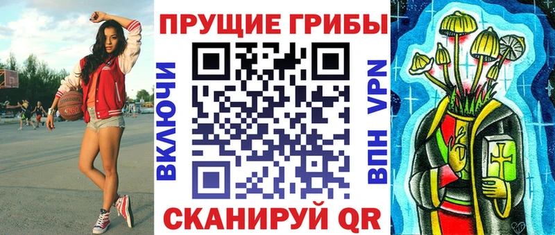 где можно купить   Котовск  mega   Псилоцибиновые грибы Cubensis 
